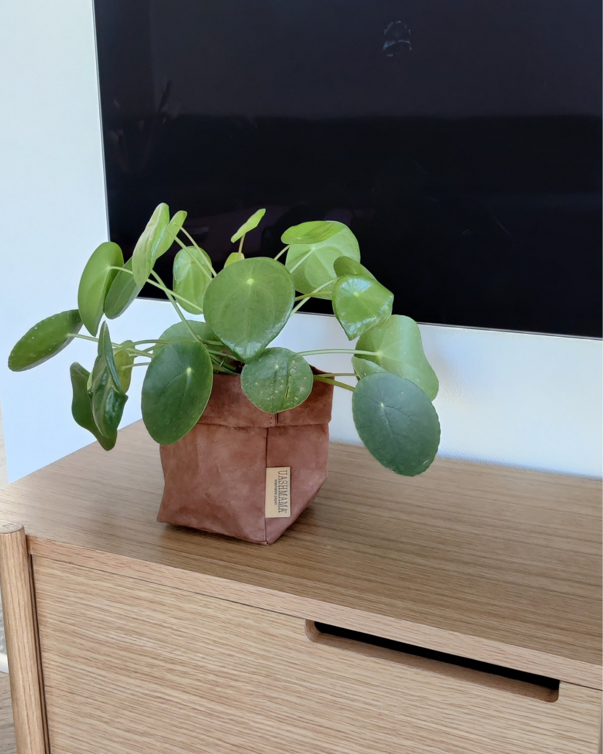 Paper Bag, Small, Cuoio