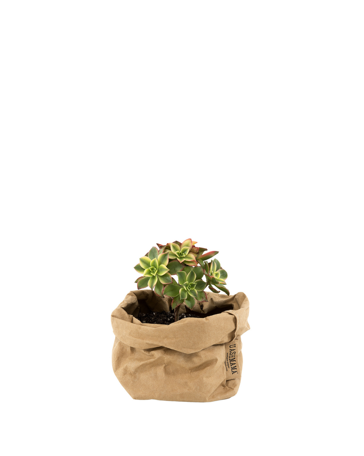 Paper Bag, Small, Natur
