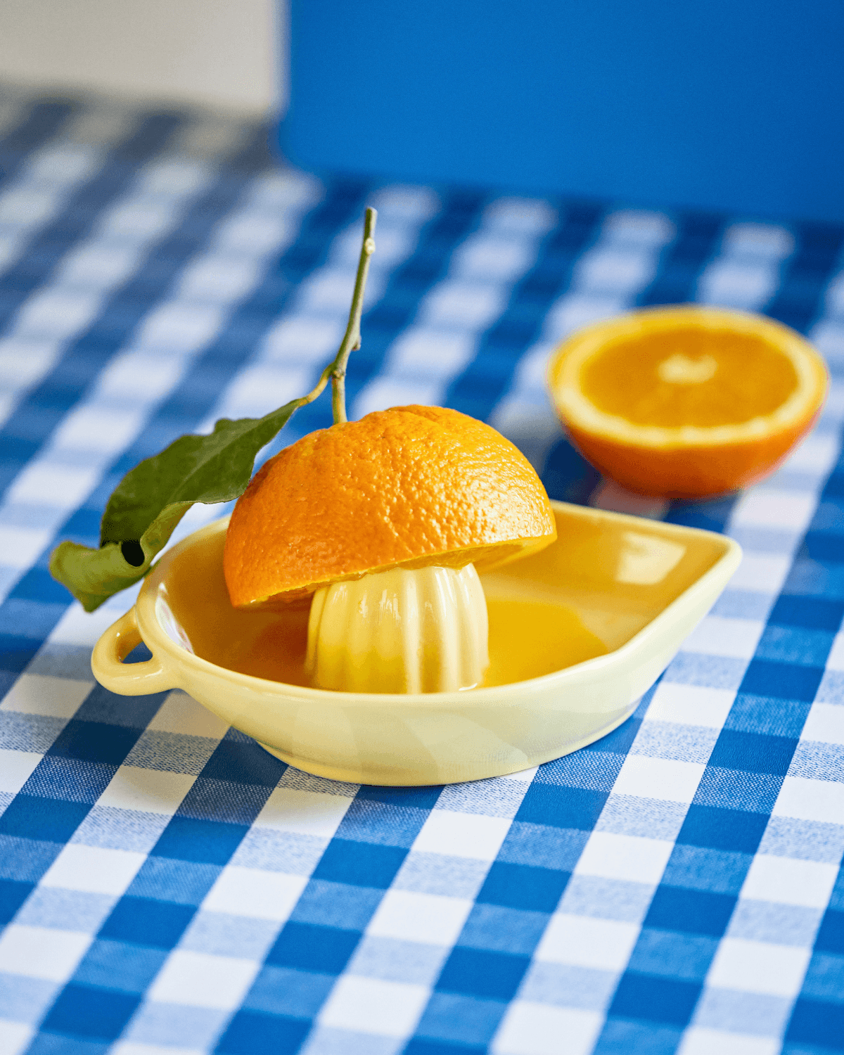 Citruspresser, Hala, Gul