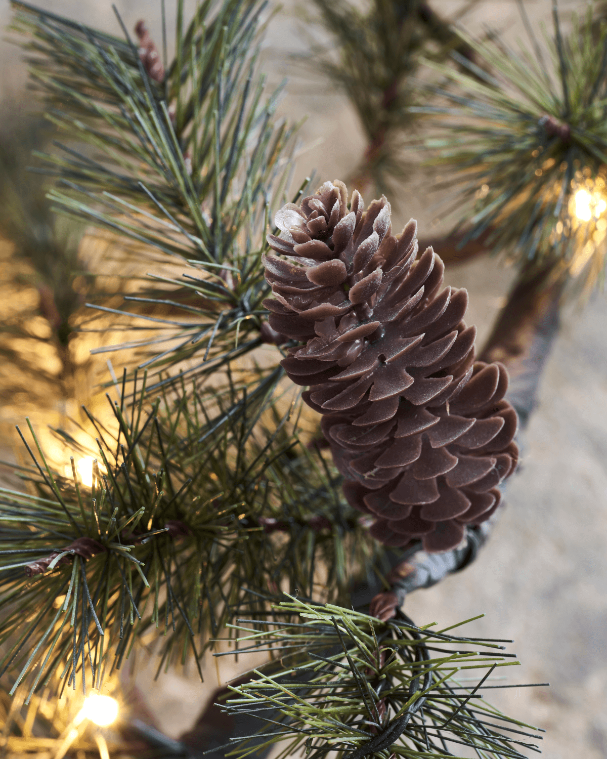grangren med tændt lys, kogler, julegran