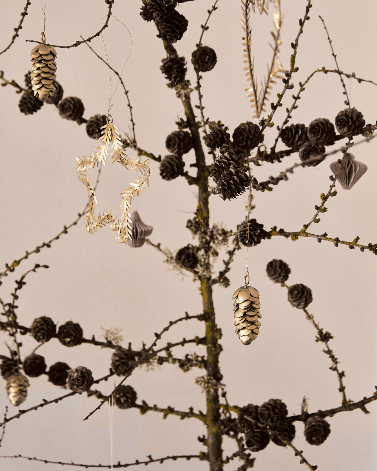 Julepynt, Comb, Lys brun