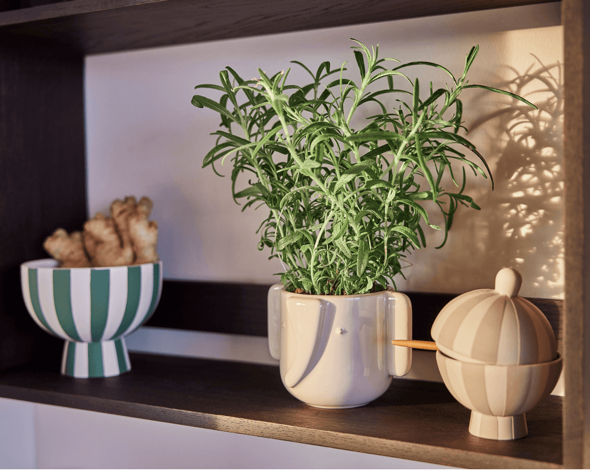 Hvid Elephant Pot fra OYOY Living Design med reaktiv glasur