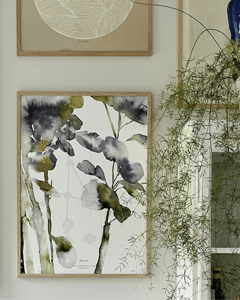 Kunsttryk,Aralia, Blomst, Anne Hvidt, botanisk, plakat i stilfuldt hjem.