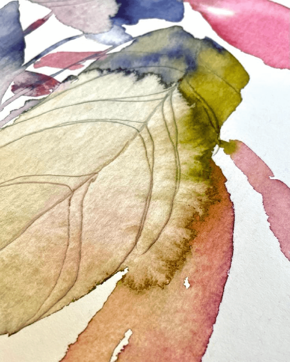 Close up af kunsttrykket Calathea hvor struktur og smukke farver går hånd i hånd.