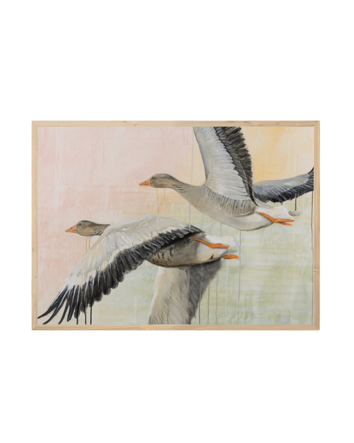 Kunsttryk i lys træramme med to grågæs i flugt, vingerne bredt udfoldet, mod en blød pastelbaggrund i rosa, gul og grønne nuancer med maleriske dryp.