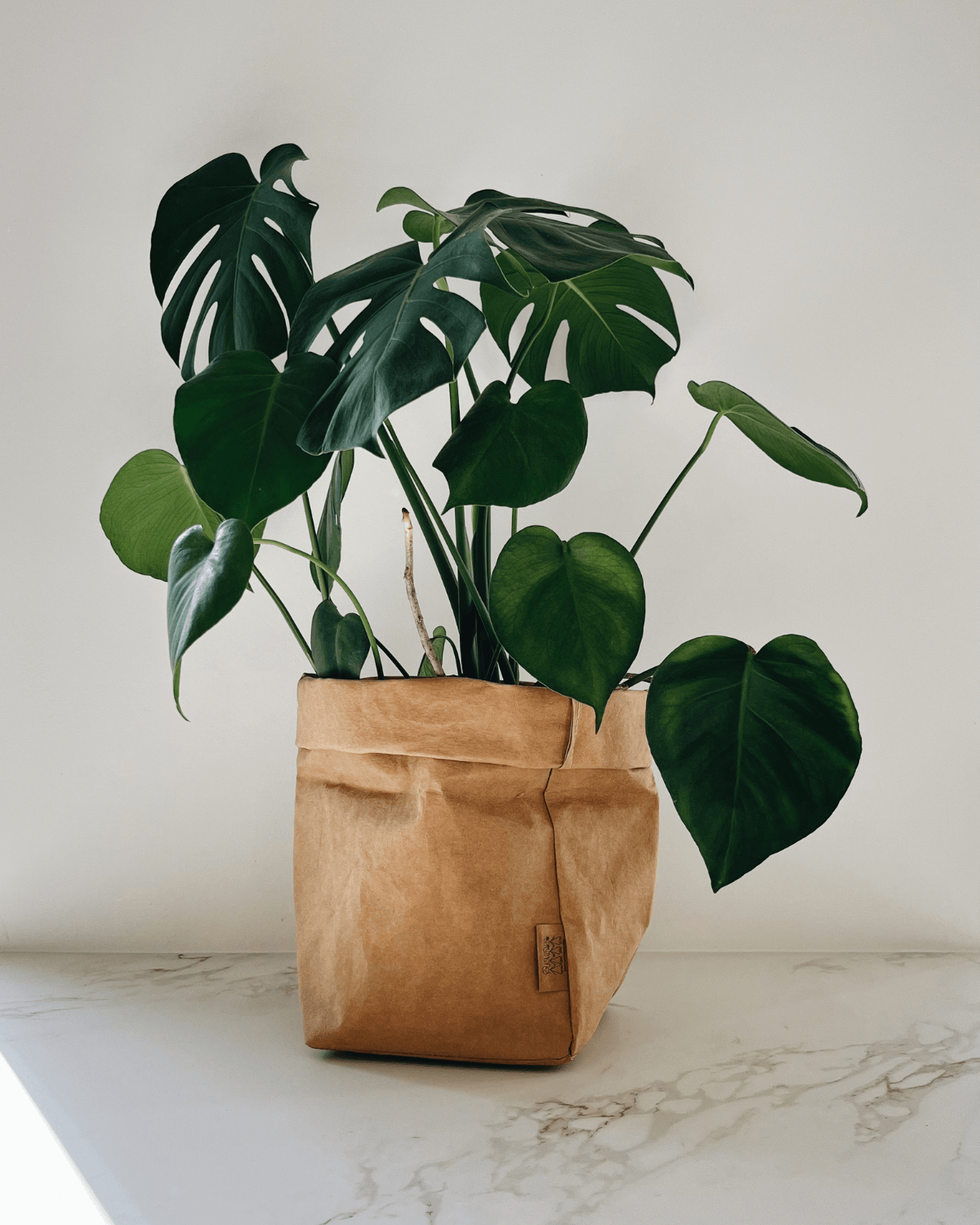 Stor Washmama paperbag i lys brun - natur