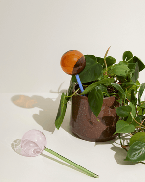 Selvvander, Flora, Rav/Blå, mundblæst glas, Hübsch