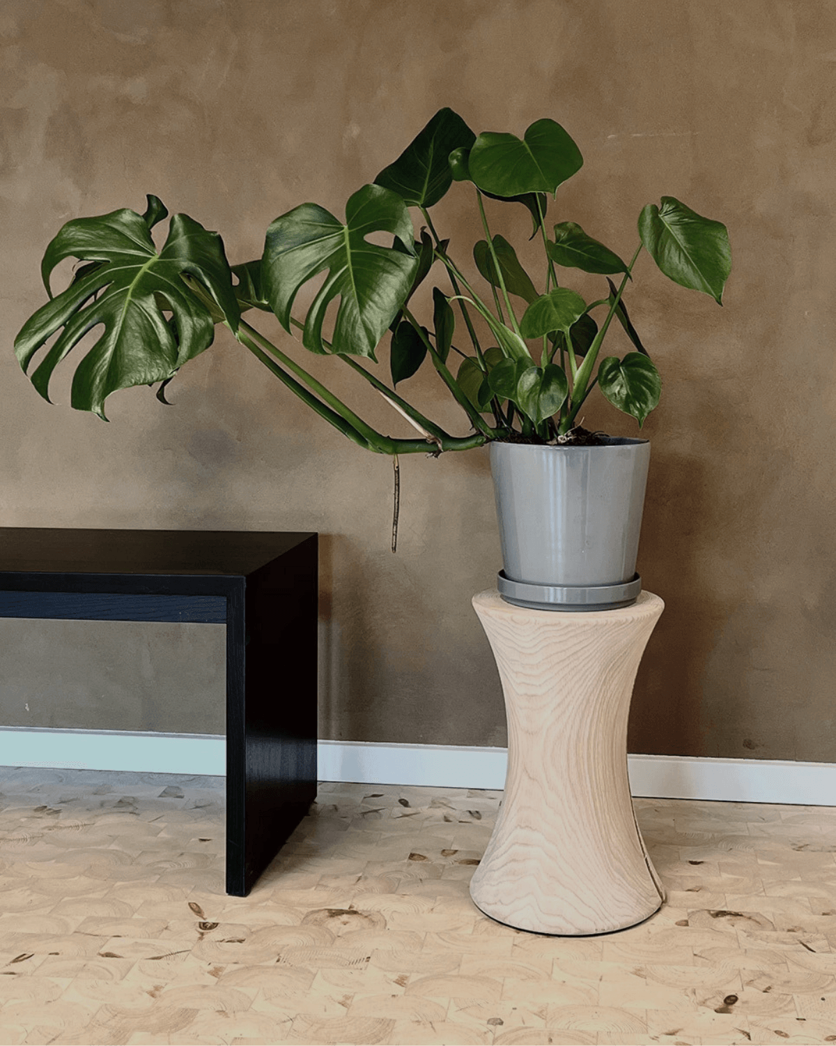 Skammel, NOR af Katholm, Fl. træsorter