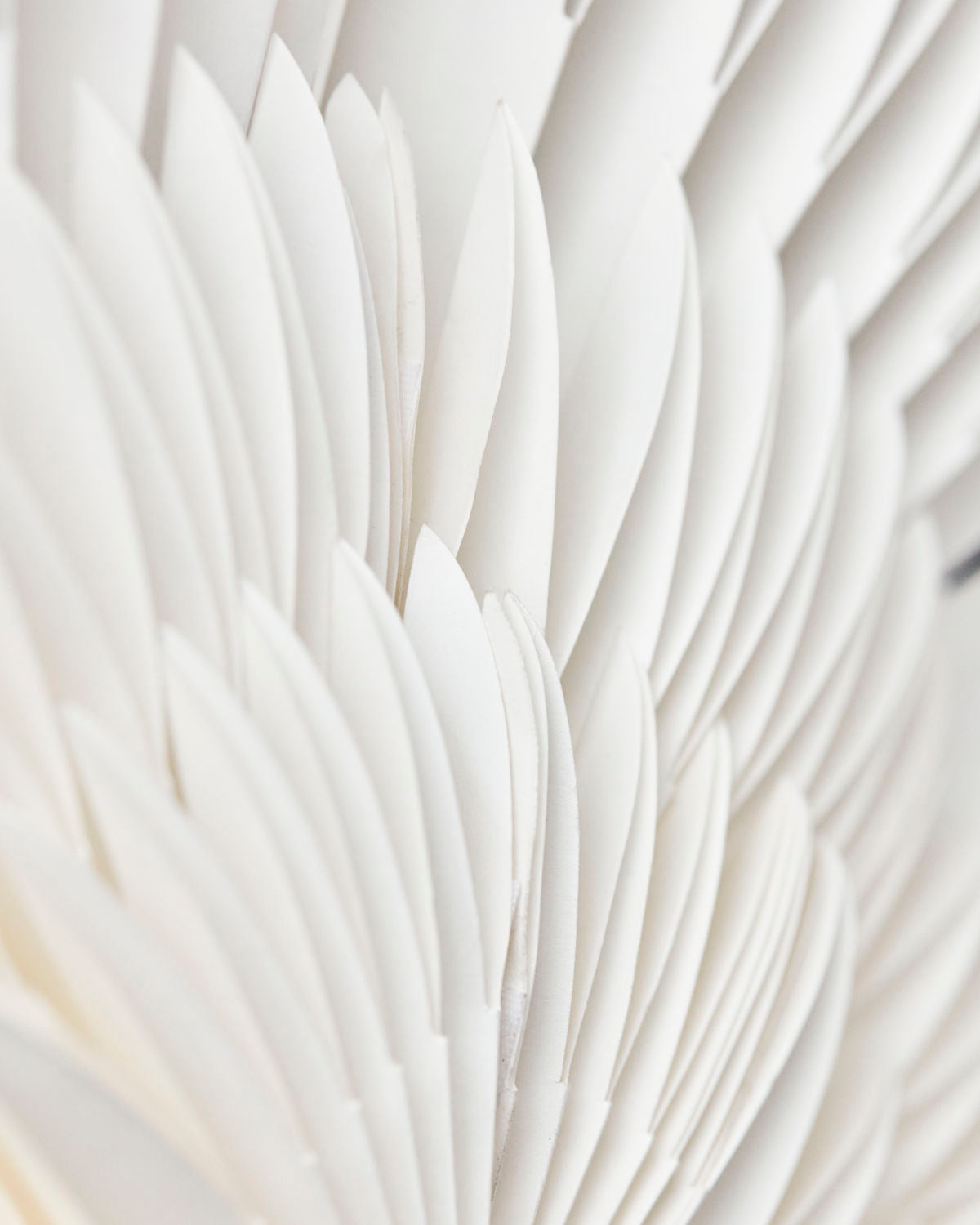 julestjerne detalje, hvid papirstjerne, julepynt