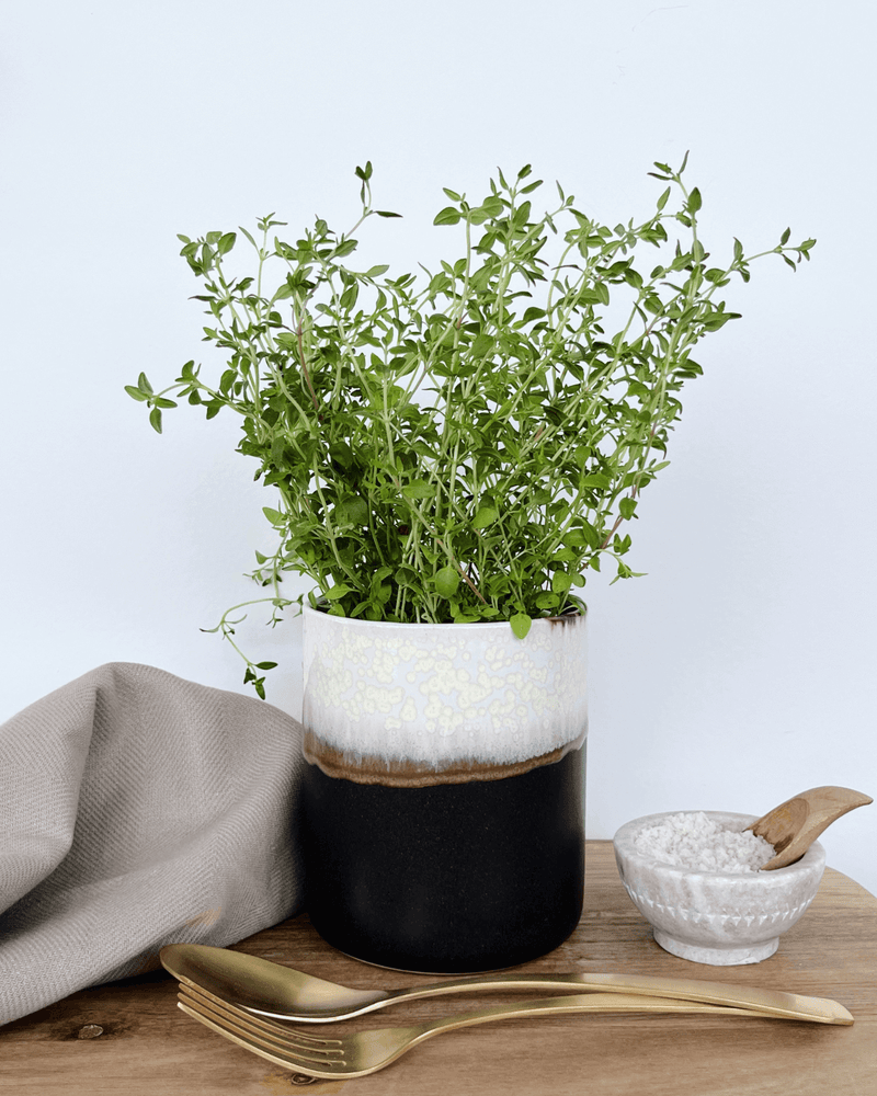 Vase, Keramik, Håndlavet, Vårhus