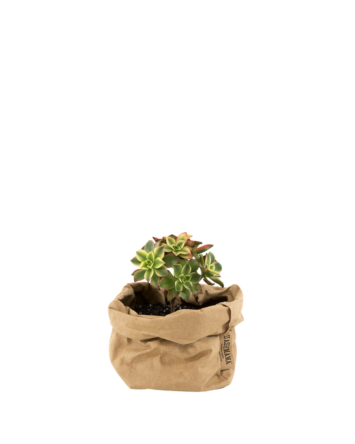 Paper Bag, S - Natur