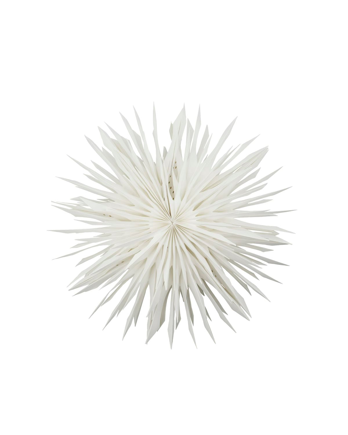 Stjerne, Reef, Råhvid, 50 cm