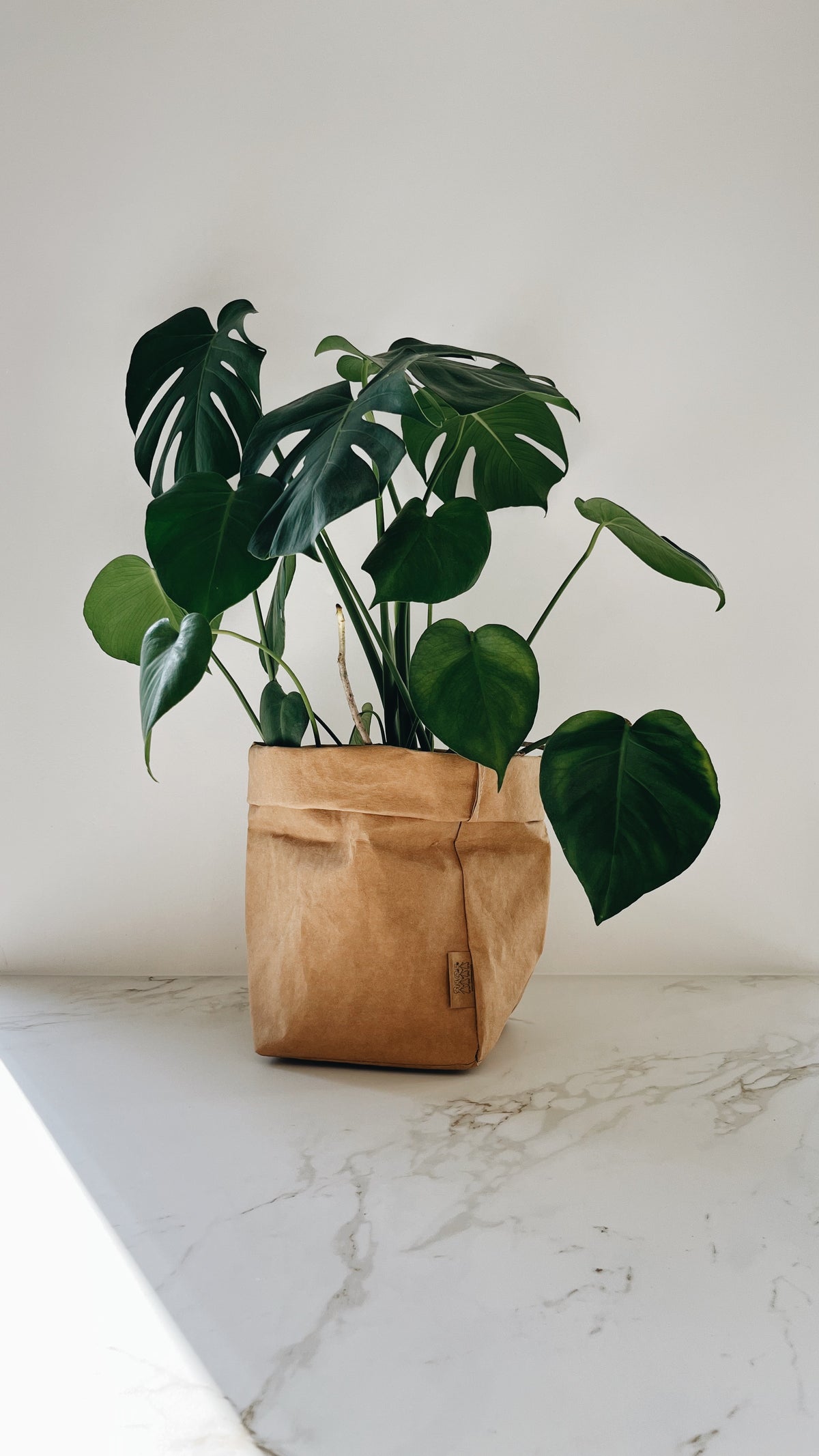 Paper Bag, 2L - Natur